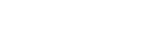 DIZH