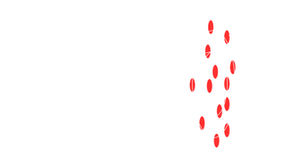 2 Szenariotechnik Dezentrum Schritt Projektionen Annahmen EN